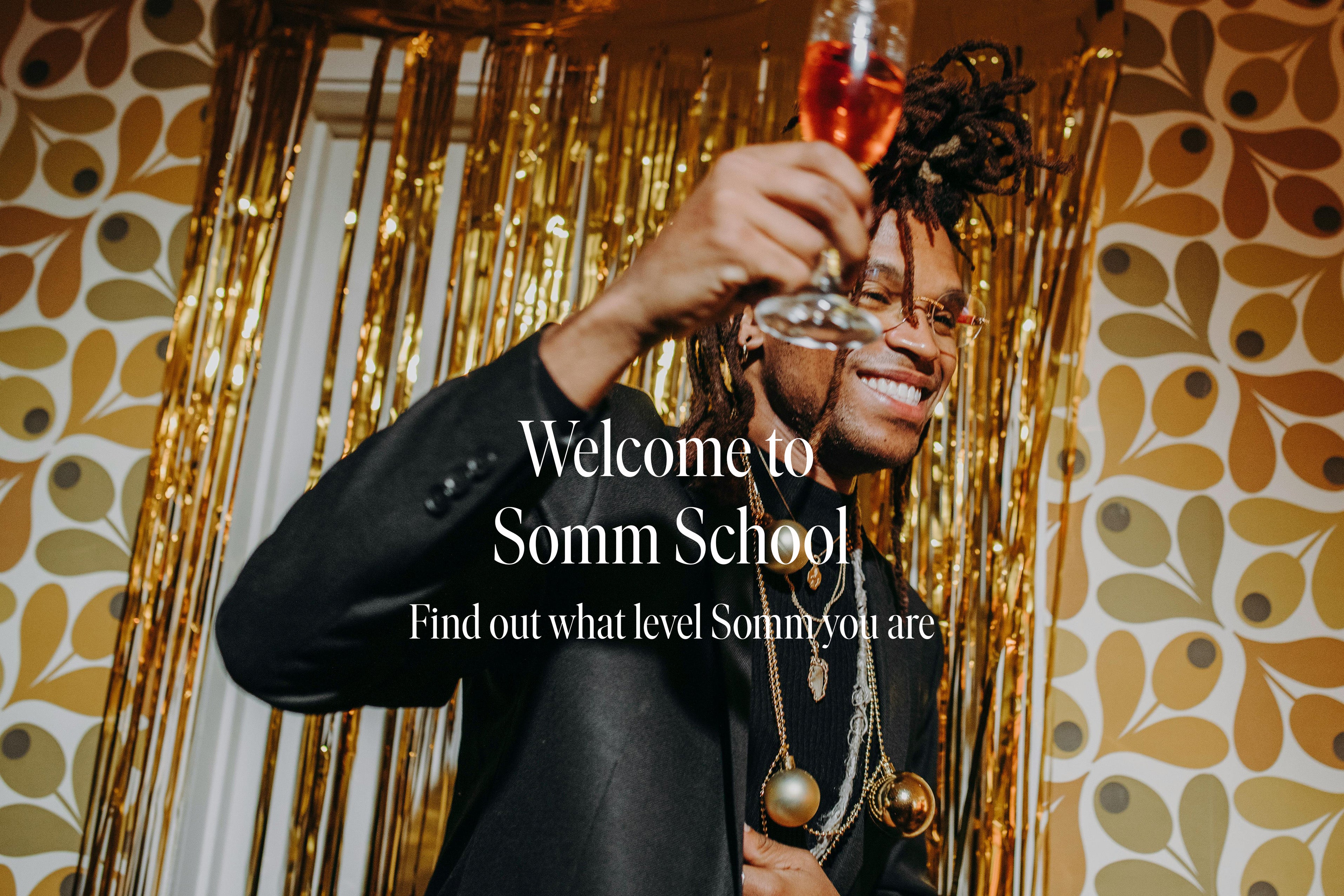 Welcome To Somm School